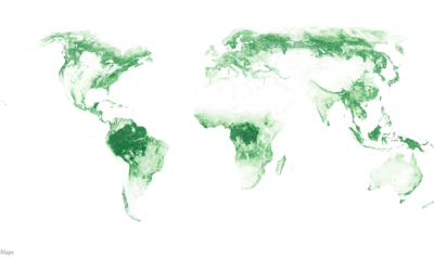 Mapeo de los bosques del mundo: ¿Qué tan verde es nuestro Globo?