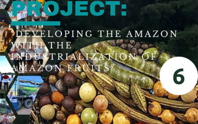 Desarrollando la Amazonia con la Industrialización de las Frutas Amazónicas