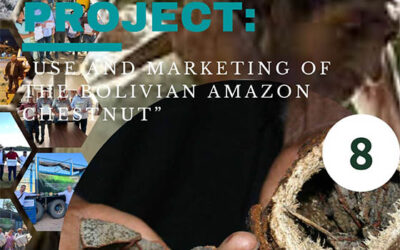 Aprovechamiento y comercialización de la Castaña Amazónica Boliviana