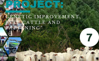 Proyecto: Mejoramiento Genético , Ganado de Carne y Engorde